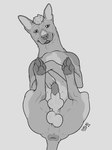 absurd_res anatomically_correct anatomically_correct_genitalia animal_genitalia anus balls belly blep canid canine canine_genitalia canis chest_markings domestic_dog erection feral genitals hair hairless hairless_dog hi_res knot knot_in_sheath knotted_penis lighter_belly lipsticking looking_at_viewer lying male mammal markings mole_(marking) monochrome on_back pawpads penis pinto_(pantherwaltz) primitive_dog puckered_anus sheath simple_background sketch sketchy_shelby solo spots spotted_markings tail tail_anus tongue tongue_out xoloitzcuintli