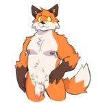 anthro armpit_hair belly body_hair canid canine digital_drawing_(artwork) digital_media_(artwork) digital_painting_(artwork) epic_games eyebrows fennix_(fortnite) fluffy fortnite fox genitals hi_res humanoid_genitalia humanoid_penis male mammal muscular nipples penis raised_eyebrow solo sparklesart_2 tail yellow_eyes