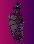 post #5640133