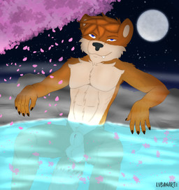 Rating: e
ID: 4046290
Date: 2023-05-11 15:13:17 -0400
Status: active
Score: 7
animal_genitalia anthro balls canid canine canis cherry_blossom cherry_blossom_tree cherry_tree digital_media_(artwork) flower fruit_tree fur galener genitals hot_spring looking_at_viewer lubanart male mammal moon nude plant prunus_(flower) smile solo tree water post #4046290