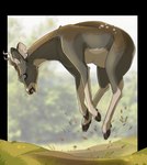 Rating: s
ID: 5654872
Date: 2025-06-20 03:09:11 -0400
Status: active
Score: 8
alpha_channel ambiguous_gender blue_eyes blurred_background brown_body brown_fur deer feral fur grey_body grey_fur hi_res horizontal_pupils horn imperatorcaesar jumping mammal motion_blur open_mouth open_smile outside pupils side_view smile solo white_body white_fur post #5654872