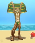 4_toes abs anthro artist_logo artist_name athletic athletic_anthro athletic_male beach beach_towel brown_body brown_claws brown_fur brown_nose brown_pawpads bucket bulge claws clothed clothing container day feet fingers fur green_eyes hands_above_head hi_res holding_object holding_towel logo looking_at_viewer male mammal multicolored_body multicolored_fur mustelid navel otter outside pawpads paws pecs plantigrade sand sea serratus shaded sky slim smile soft_shading solo speedo speedo_only standing swimwear tail tan_body tan_fur teeth thick_tail toe_claws toes toothy_smile topless towel two_tone_body two_tone_fur vallhound water