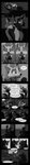 2020 absurd_res anthro bandage breasts buckteeth canid canine cheek_tuft clothed clothing comic crossover dialogue disney earpiece electronics emmitt_otterton english_text eyes_closed eyewear facial_tuft female fox foxxj furniture glasses greyscale head_tuft hi_res hug imminent_sex inside interspecies judy_hopps kissing kneeling lagomorph leporid long_image lontra maid_marian male male/female mammal microphone monochrome mustelid news nick_wilde north_american_river_otter nude on_lap otter rabbit red_fox river_otter robin_hood robin_hood_(disney) romantic romantic_couple sitting sitting_on_lap smile sofa speech_bubble standing tall_image teeth television text true_fox tuft wounded zootopia