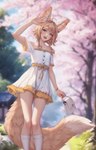 Rating: s
ID: 4415592
Date: 2023-11-15 03:31:04 -0500
Status: active
Score: 214
2023 animal_humanoid big_ears big_tail braided_hair canid canid_humanoid canine canine_humanoid cherry_blossom cherry_tree clothed clothing curvy_figure dipstick_tail dress ear_piercing female fennec_humanoid flower fluffy fluffy_tail footwear fox_humanoid front_view fruit_tree fully_clothed fur hair hi_res hourglass_figure humanoid inner_ear_fluff khiara_(personalami) long_tail mammal mammal_humanoid markings open_mouth outside personalami piercing plant prunus_(flower) purse short_hair slim small_waist socks solo tail tail_markings tan_body tan_fur tree tuft wide_hipped_female wide_hipped_humanoid wide_hips post #4415592