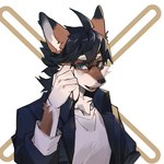 1:1 2022 ambiguous_gender anthro black_hair blue_clothing blue_eyes blue_jacket blue_topwear brown_body brown_fur canid canine canis clothing eyewear eyewear_on_head fur glasses glasses_on_head hair hi_res jacket looking_at_viewer mammal shirt solo topwear viosgit white_body white_clothing white_fur white_shirt white_topwear wolf yellow_body yellow_fur