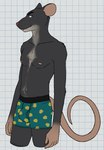 2024 anthro bedroom_eyes biped black_body black_eyebrows black_fur blue_clothing blue_underwear body_hair boxers_(clothing) boxers_only bulge checkered checkered_background claws clothed clothing curled_tail digital_drawing_(artwork) digital_media_(artwork) echo_(series) echo_project eyebrows fur happy_trail hi_res long_tail looking_aside male male_anthro mammal multicolored_body murid murine narrowed_eyes navel nipples partially_clothed partially_clothed_male pattern_background pattern_clothing pink_body pink_inner_ear pink_nipples pink_nose pink_skin portrait ralph_(the_smoke_room) rat rodent seductive short_fur simple_background skinny slim solo standing tail tan_body tan_fur teeth the_smoke_room three-quarter_portrait topless underwear underwear_only unsafescapewolf whiskers white_background white_claws