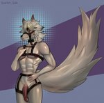 abs anthro big_tail breasts canid canine canis clothing digital_media_(artwork) fur genitals hair harness hi_res huge_tail leather looking_at_viewer male mammal mihoyo muscular nipples one_eye_closed penis red_eyes scarlet_side simple_background sketch solo sound_effects tail von_lycaon vowelless vowelless_sound_effect white_body white_fur white_hair wolf zenless_zone_zero