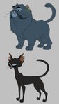 2018 ambiguous_gender black_body black_fur blue_body blue_eyes blue_fur domestic_cat duo ear_piercing ear_ring eyebrows eyelashes fangs feet felid felidae_(book_series) felidae_(film) felidae_on_the_road feline felis female_(lore) feral fur grey_background heebjeeb hi_res male_(lore) mammal model_sheet niger_(felidae) notched_ear paws piercing quadruped ring_piercing saffron_(felidae) scar simple_background slim standing tail teeth whiskers