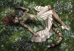 anthro clothed clothing digital_media_(artwork) dress felid female flower footwear grass hair khajiit lying mammal microsoft on_ground plant shoes solo techiesxc the_elder_scrolls