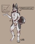 2024 4:5 animal_genitalia anthro balls biped black_nose blue_eyes blush brown_background canid canine canis chastity_cage chastity_cage_only chastity_device chastity_device_only curled_tail dialogue digital_media_(artwork) digitigrade domestic_dog english_text front_view full-length_portrait fur genitals gold_(metal) gold_chastity_cage gold_chastity_device hi_res holding_object husky in-sheath_cage line_graph looking_at_viewer male mammal multicolored_body multicolored_ears multicolored_fur nordic_sled_dog nude open_mouth portrait presentation redmok sheath simple_background solo song_(song) speech_bubble spitz standing tail text two_tone_body two_tone_ears two_tone_fur two_tone_tail