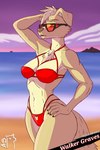 2:3 alpaccasneaky anthro athletic beach bikini bikini_bottom bikini_top bird_dog blonde_hair canid canine canis clothing domestic_dog eyewear female fur golden_retriever green_eyes hair hi_res hunting_dog mammal retriever solo sunglasses sunset swimwear two-piece_swimsuit yellow_body yellow_fur