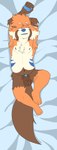 absurd_res ailurid animal_genitalia animal_penis anthro blue_eyes canine_genitalia canine_penis dakimakura dakimakura_design fur genitals hi_res ichirotc knot knotted_penis lipsticking lying male mammal multicolored_body multicolored_fur nude on_back orange_body orange_fur penis red_panda sheath solo