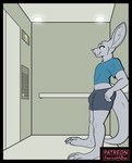 absurd_res big_ears blue_clothing blue_shirt blue_topwear bottomwear bulge ceiling_lamp clothing digital_media_(artwork) elevator foxinuhhbox fur grey_body grey_bottomwear grey_clothing grey_fur grey_shorts hi_res kangaroo lamp leaning_on_wall macropod male mammal marsupial patreon quippy sequence shirt shorts sketch tail topwear