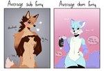 2023 anthro artist_name black_nose blue_body blue_fur blush brown_body brown_fur canid canine collar dialogue digital_media_(artwork) english_text fox fur male mammal maned_wolf speech_bubble spraykitty text white_body white_fur