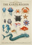 2023 ambiguous_gender arthropod asterozoan biological_illustration bivalve cloyster countershade_scales countershade_torso countershading crab crustacean cyprinid cypriniform decapoda dorsal_fin echinoderm english_text feral fin fish generation_1_pokemon goldeen goldfish group gyarados horsea julio_lacerda kingler krabby magikarp malacostracan marine mollusk nintendo orange_body orange_scales pokemon pokemon_(species) realistic realistic_anatomy scales seadra seahorse seaking shell shellder starfish starmie staryu syngnathid syngnathiform tail tail_fin technical_illustration tentacles tentacool tentacruel text zoological_illustration