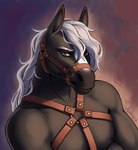 Rating: q
ID: 4016048
Date: 2023-04-26 15:27:51 -0400
Status: active
Score: 10
anthro bangs bust_portrait digital_drawing_(artwork) digital_media_(artwork) draft_horse elenmory equid equine fur gaze hair heavy_(disambiguation) hi_res horse looking_at_viewer male male_anthro mammal muscular portrait solo stable straps tack three-quarter_view white_hair post #4016048
