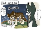 2024 a-chan ambiguous_gender ayaka black_body black_fur brown_body brown_fur canid canine canis comic dialogue domestic_dog duo eyes_closed feral fur fuuga husky hybrid japanese_text kemono male_(lore) mammal nordic_sled_dog semi-anthro spitz tail tan_body tan_fur tan_inner_ear text translated white_body white_fur white_inner_ear wolfdog