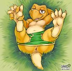 ambiguous_gender anthro anus anus_only belly bottomwear bottomwear_down briefs briefs_down butt clothed clothing colored_seam_underwear conditional_dnp draite feet foot_focus grass green_briefs green_clothing green_underwear hi_res koopa koopa_troopa legs_up looking_at_viewer lying male mario_bros nintendo on_back partially_clothed paws plant presenting presenting_anus presenting_hindquarters reptile scalie seductive shorts shorts_down solo toes turtle underwear underwear_down white_seam_briefs white_seam_underwear