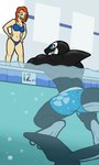 2018 3:5 60percentscalie anthro bikini bikini_bottom bikini_top biped black_body black_skin blue_eyes breasts cetacean clothing digital_media_(artwork) dolphin duo female freckles grin hair hand_on_hip hi_res human light_body light_skin male mammal marine multicolored_body multicolored_skin muscular muscular_anthro muscular_male oceanic_dolphin open_mouth open_smile orange_hair orca partially_submerged sharp_teeth smile standing swimwear teeth toothed_whale two-piece_swimsuit two_tone_body two_tone_skin white_body white_skin