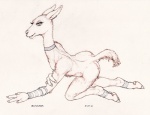 Rating: q
ID: 297922
Date: 2013-02-24 05:34:56 -0500
Status: active
Score: 11
anthro camelid clothed clothing ear_piercing ecmajor eyelashes female flat_chested furgonomics furry-specific_piercing guanaco hooves mammal mostly_nude piercing santiago_sara_(ecmajor) simple_background solo tail tail_piercing traditional_media_(artwork) post #297922