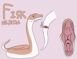 absurd_res ambiguous_gender animal_genitalia cloaca feral fisk_(ravenfangs) genitals hi_res male_(lore) model_sheet mouth_shot multicolored_body open_mouth presenting_mouth ravenfangs reptile scalie serpentine snake solo trans_(lore) two_tone_body