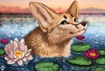 Rating: s
ID: 3736346
Date: 2022-12-06 22:43:57 -0500
Status: active
Score: 23
2022 ambiguous_gender black_nose brown_eyes bust_portrait canid canine day detailed_background digital_media_(artwork) digital_painting_(artwork) facial_markings fennec_fox feral flashw flower fluffy fox head_markings lake lily_pad looking_at_viewer mammal markings outside painting_(artwork) partially_submerged plant portrait sky solo sunset true_fox water_lily post #3736346