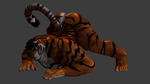 16:9 3d_(artwork) 3d_animation abs animated anthro ass_up butt digital_media_(artwork) felid fur jack-o'_pose male mammal muscular muscular_anthro muscular_male nipples no_sound nude oaks16 orange_body orange_fur pantherine pecs pose shaking_butt short_playtime solo striped_body striped_fur stripes tiger webm widescreen