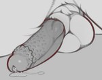 2023 animal_genitalia animal_penis anthro balls bodily_fluids charr crotch_tuft digital_media_(artwork) erection felid feline_genitalia feline_penis genital_fluids genital_focus genitals greyscale guild_wars leaking_precum male male_anthro mammal monochrome nude penile_spines penis penis_focus precum sheath snowskau solo tuft