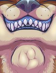 blue_flesh bulge extreme_size_difference hi_res male male_pred male_prey mammal mustelid neck_bulge open_mouth oral otter roco shirou size_difference solo swallowing teeth throat tongue vore