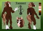 2017 animal_genitalia anthro balls black_eyebrows brown_balls brown_body brown_eyes brown_fur brown_hair brown_sheath brown_tail dated equid equine eyebrows front_view fur genitals glistening glistening_eyes gloves_(marking) grass hair horse leg_markings looking_at_viewer male mammal markings model_sheet nude open_mouth open_smile pink_inner_ear plant rear_view sheath signature smile socks_(marking) solo standing tail tanner_(horselover556) tiggybloom white_markings