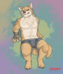 2016 4_toes 5_fingers abstract_background anthro arm_support barefoot biceps biped black_claws black_nose black_sclera blue_eyes blush bodily_fluids bottomwear boxer_briefs brown_clothing bulge canid canine canis cheek_tuft chest_tuft claws clothed clothing countershade_face countershade_torso countershading detailed digital_media_(artwork) digitigrade embarrassed facial_tuft feet fingerless_gloves fingers fluffy fluffy_tail front_view full-length_portrait fur fur_tuft gloves grey_bottomwear grey_clothing half-closed_eyes handwear heterochromia hi_res huka humanoid_hands inner_ear_fluff looking_at_viewer male mammal manly multicolored_body multicolored_fur muscular muscular_anthro muscular_male narrowed_eyes neck_tuft paws pecs portrait reclining shaded sharp_teeth snout solo stocky sweat sweatdrop tail teeth toe_claws toes topless tuft two_tone_body two_tone_fur underwear watermark white_body white_countershading white_fur wolf yellow_body yellow_eyes yellow_fur yellow_tail