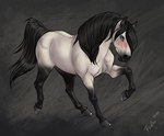 ambiguous_gender black_hair equid equine feral fur grey_body grey_fur hair hi_res hooves horse looking_at_viewer mammal quadruped rufciu solo