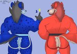 2023 absurd_res anthro beard big_butt big_muscles blue_body blue_eyes blue_fur blush butt canid canine canis clothed clothing conditional_dnp duo embarrassed facial_hair fur grinning_at_viewer hi_res hyena jockstrap jockstrap_only kazuhisa kbh_kazuhisa kemoteto_yakuza_project looking_at_viewer looking_back male mammal muscular muscular_male red_body red_eyes red_fur reddy_(kbh_yeen) sparks spotted_hyena tetromino topless underwear underwear_only wolf