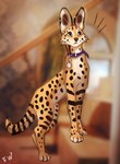Rating: s
ID: 3686508
Date: 2022-11-12 11:08:57 -0500
Status: active
Score: 35
2022 ambiguous_gender blurred_background collar digital_drawing_(artwork) digital_media_(artwork) felid feline feral flashw fur mammal markings orange_body orange_fur serval solo spots spotted_body spotted_fur post #3686508