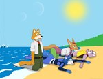 anthro beach blue_eyes breasts canid canine clothed clothing digital_media_(artwork) domestic_cat emperorstarscream fara_phoenix felid feline felis female fennec_fox fox fox_mccloud green_eyes group hair katt_monroe krystal_(star_fox) male mammal nature nintendo outside sea seaside sky star_fox stranded sun true_fox water