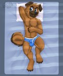 2021 5:6 absurd_res anthro balls_outline bed black_nose blue_briefs blue_clothing blue_eyes blue_underwear briefs brown_body brown_ears brown_fur brown_hair bulge canid canine canis chest_tuft claws clothing curled_tail cute_fangs detailed_bulge digitigrade dipstick_ears domestic_dog ear_markings eyebrow_through_hair eyebrows floppy_ears fur furniture gaokun genital_outline hair hand_behind_head hand_on_chest hi_res looking_at_viewer lying male mammal multicolored_body multicolored_ears multicolored_fur pillow shih_tzu simple_background skullbite solo tail toe_claws toy_dog translucent translucent_hair tuft two_tone_body two_tone_ears two_tone_fur underwear watermark