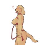 anthro bdsm bfkitsu1550 big_breasts bird_dog breasts canid canine canis cocker_spaniel collar domestic_dog female floppy_ears fur harness hi_res holding_leash holding_object hunting_dog leash leashed_collar mammal nipple_piercing nipples offering_leash open_mouth petplay piercing roleplay simple_background solo spaniel tongue tongue_out unnamed_spaniel_(bfkitsu1550) yellow_body yellow_fur