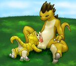 2005 anthro anus argon_vile balls bodily_fluids claws cum erection fellatio feral fur generation_1_pokemon genital_fluids genitals grass licking male male/male nintendo oral penile penis penis_lick plant pokemon pokemon_(species) sandshrew sandslash sex sky tail tongue tongue_out unavailable_at_source yellow_body yellow_fur