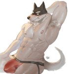 abs anthro armpit_hair black_body black_fur bodily_fluids body_hair bulge canid canine canis clothed clothing digital_media_(artwork) doggo_(undertale) domestic_dog fur hi_res huzzhuz looking_at_viewer male mammal muscular muscular_anthro muscular_male musk nipples nude pecs pink_clothing pink_nipples pink_topwear shirt solo sweat sweatdrop topwear undertale undertale_(series) underwear white_body white_fur