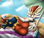 Rating: e
ID: 5621025
Date: 2025-06-04 16:54:05 -0400
Status: active
Score: 9
absurd_res anthro anus backsack ball balls beach beach_ball beach_towel beach_umbrella bedroom_eyes big_butt blush buckteeth butt butt_focus cinderace colored digital_media_(artwork) feet femboy fluffy fluffy_tail foot_focus fur fur_markings generation_8_pokemon genital_raphe genitals hair half-closed_eyes happy hi_res inflatable lagomorph leporid light lighting looking_at_viewer looking_back looking_pleasured male mammal markings mohrlex multicolored_body multicolored_fur narrowed_eyes nintendo nude nude_anthro nude_male open_mouth parasol perineal_raphe perineum pink_anus pokemon pokemon_(species) presenting presenting_anus presenting_balls presenting_hindquarters public public_exposure public_nudity puffy_anus rabbit raphe_(anatomy) rear_view red_body red_eyes red_fur scrotal_raphe seductive shaded short_tail signature simple_background solo tail teeth text thick_thighs tongue towel umbrella url white_body white_fur yellow_body yellow_fur post #5621025