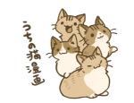 2016 :3 domestic_cat eyes_closed felid feline felis group japanese japanese_text kanannbo low_res mammal open_mouth simple_background text translated