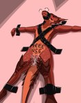 Rating: e
ID: 5527822
Date: 2025-04-24 18:34:08 -0400
Status: active
Score: 74
2024 after_sex anthro anus bdsm bodily_fluids body_writing bondage bound cum cum_in_ass cum_in_pussy cum_inside digital_media_(artwork) english_text female free_use gag gagged gagged_drooling genital_fluids genitals hi_res hirokitty horn kobold looking_pleasured nude nude_female pussy red_sclera scalie solo stretched_pussy tail tape tape_bondage tape_gag text veks post #5527822