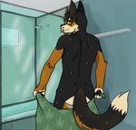 absurd_res anthro canid canine canis detailed_background digital_media_(artwork) domestic_dog drugs german_shepherd herding_dog hi_res justsomeratz looking_at_viewer male mammal marijuana nude pastoral_dog ranger rear_view shower solo suggestive_pose tail towel towel_only wet wet_body