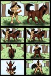 absurd_res anthro anthro_on_feral anthro_penetrating anthro_penetrating_feral bestiality big_penis breath day duo equid equine erection female feral feral_penetrated forest from_behind_position genitals grass hi_res higurashi029 horse huge_penis male male/female mammal panting penetration penile penile_penetration penis penis_in_pussy plant presenting pussy sex teats thrusting tree vaginal vaginal_penetration were wereequine werehorse