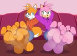 5_toes amy_rose anthro barefoot bcm13 blue_eyes canid canine clothing eulipotyphlan feet female foot_fetish fox green_eyes hedgehog hi_res hoodie humanoid_feet male mammal miles_prower orange_body pink_body plantigrade sega smelly smelly_feet soles sonic_the_hedgehog_(series) toes topwear