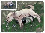 2024 4:3 ambiguous_gender beer_bottle bottle brown_body brown_fur canid canine canis cigarette cigarette_in_mouth container domestic_dog feral floppy_ears fur hi_res lying_on_grass mammal mintcashew object_in_mouth photo_reference quadruped reference_image sleeping solo