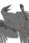 Rating: e
ID: 5601200
Date: 2025-05-26 23:55:31 -0400
Status: active
Score: 29
2:3 aarakocra_(dnd) animal_genitalia avian avian_feet bird black_body black_feathers claws cloaca cloacal_penis corvid corvus_(genus) crow erection feathered_wings feathers feral genitals hi_res kleek lying male on_back oscine passerine penis peregr1ne presenting simple_background solo spread_legs spreading tail tail_feathers toe_claws white_background wings post #5601200