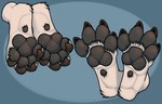 3dinoz absurd_res anthro cain_the_dingo canid canine canis claws curling_toes dingo feet foot_focus gony_(3dinoz) hi_res male mammal pawpads paws solo spread_toes toes