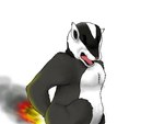 4:3 ambiguous_gender anthro badger black_body black_fur burning butt_on_fire fifybear fire fur hand_on_butt mammal multicolored_body multicolored_fur mustelid musteline open_mouth pain smoke solo two_tone_body two_tone_fur white_body white_fur