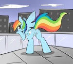 post #248057